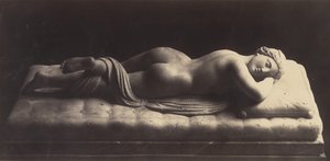 De hermafrodiet door Robert MacPherson