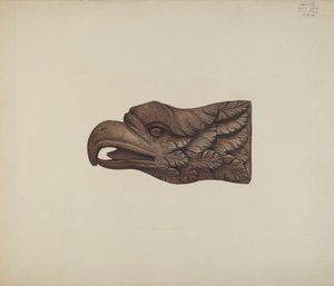 Adelaar: Billetkop