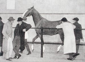 Paardenhandelaren (Ward