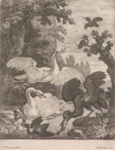 Watervogels door Robert Robinson