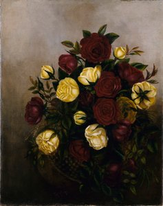 Rozen Stilleven