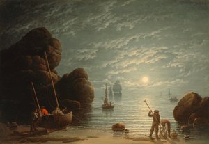 Maanlicht kustlandschap
