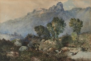Landschap met Wilde Eenden door Robert Scott Temple