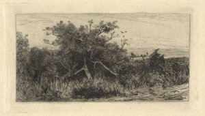 Knoestige boom door Robert Swain Gifford