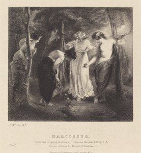 Narcissus