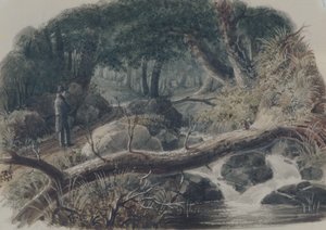  door Robert Walter Weir