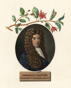 Portret van Nehemiah Grew, arts en botanicus
