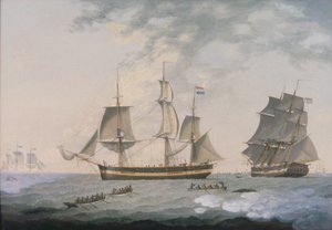 Walvisvangst in het Noordpoolgebied door Robert Willoughby