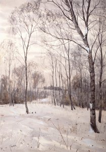 Het Winterbos