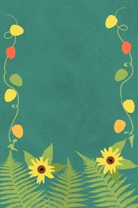 Zonnebloemvarens