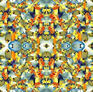 Kaleidoscoop Vis Tegel