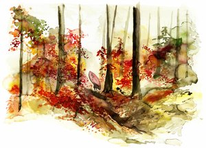 Herfstbos-surfavontuur