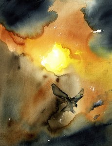Een adelaar zweeft bij zonsondergang door RodMacIver