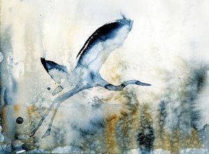 De sierlijke vlucht van de reiger door RodMacIver