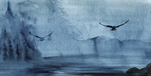 Vlucht boven het mistige meer