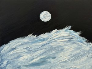 Golven in de maanverlichte oceaan door RodMacIver