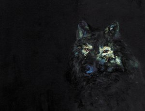 De mysterieuze zwarte wolf