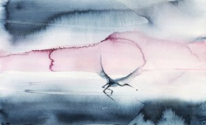 Roze lucht, vogels in vlucht door RodMacIver