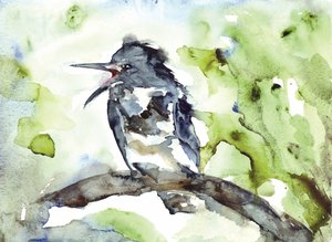 Zangvogel in aquarel door RodMacIver