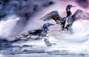 Watervogels bij zonsondergang door RodMacIver