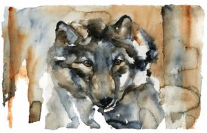 Wilde Wolf - Aquarel door RodMacIver