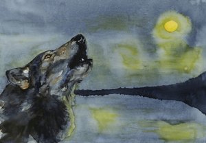 Een wolf huilt naar de maan