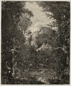 De steden voorbij het moeras door Rodolphe Bresdin