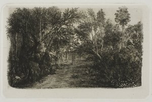 De kreek door Rodolphe Bresdin
