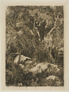 Het Bos van Fontainebleau door Rodolphe Bresdin