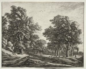 Zes uitzichten in het bos van Den Haag: geiten onder de bomen door Roelant Roghman