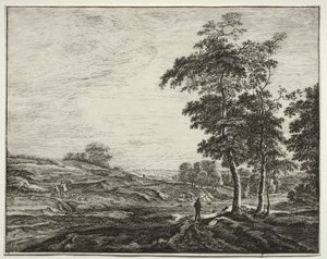 Zes uitzichten in het bos van Den Haag: boer gezien van achteren