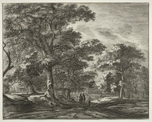 Zes gezichten in het Haagse bos (serie)