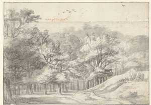 Gezicht in het Haagse Bos door Roelant Roghman