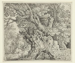 Knoestige bomen door Roelant Savery