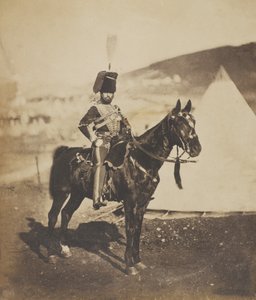 Cornet Henry John Wilkin, 11e (of Prince Albert
