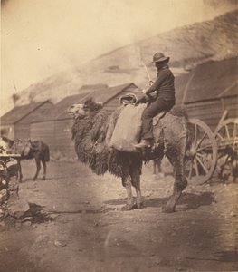 [Man rijdend op een kameel] door Roger Fenton