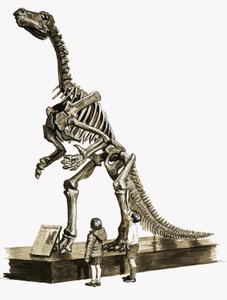 In de dagen van de dinosauriërs: Een honderd miljoen jaar oud mysterie