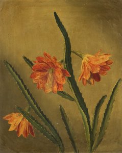 Studie van bloemen door Rolinda Sharples