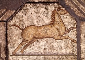 Een paard, detail (Orpheus die de dieren betovert)