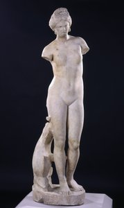 Aphrodite van Cyrene