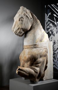 Voorkant van een paard door Roman