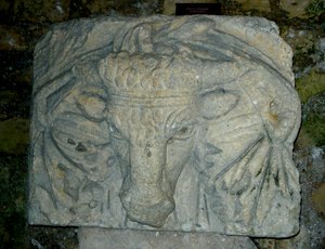 Hoofd van een stier door Roman