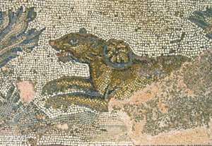 Jachtscène, detail van een leeuwin, Huis van Dionysos, Paphos, Cyprus mozaïek
