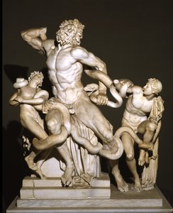 Laocoön en zijn zonen (marmer) door Roman