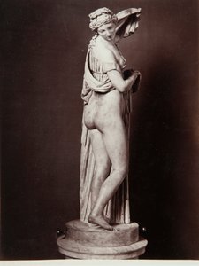 De Venus Callipigia