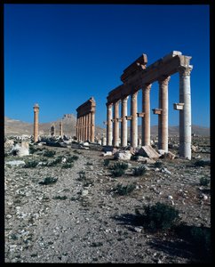 Zicht op de overblijfselen van Palmyra door Roman