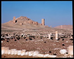 Uitzicht op de torengrafen van Iamblichus en Elahbel