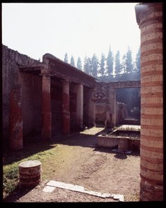 Casa della gemma huis, 5e eeuw v.Chr.-1e eeuw n.Chr. door Roman Roman