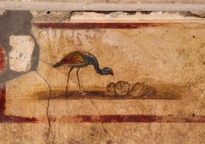 Fresco met vogel uit peristylium in Huis van Caius Julius Polybius, Pompeii (UNESCO Werelderfgoedlijst)