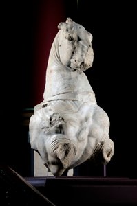 Voorkant van een paard (marmer) door Roman Roman